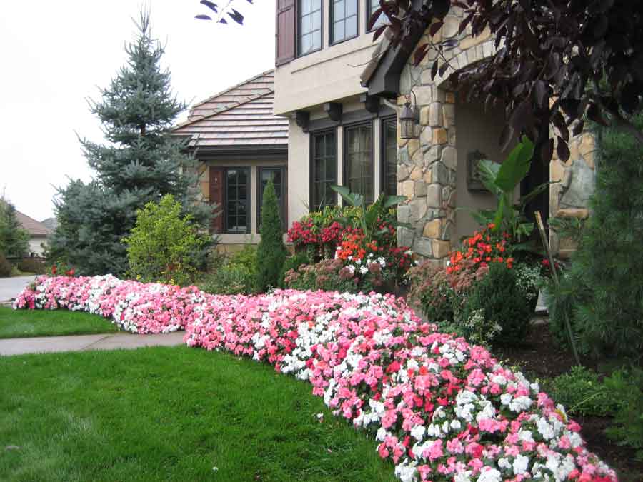 Annuals by Stonegate Gardens of Denver, Colorado