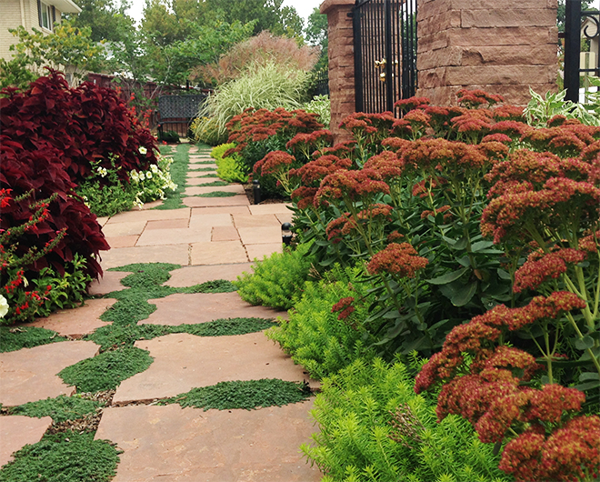 Beautiful Garden