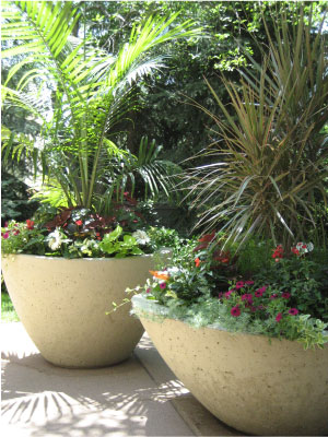 Planters